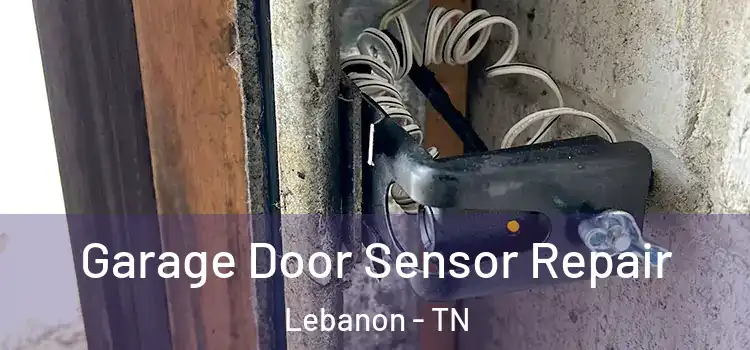 Garage Door Sensor Repair Lebanon - TN